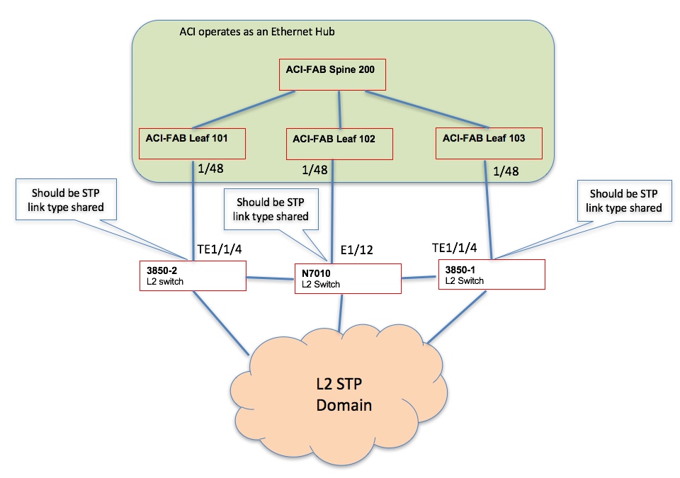 Topología ACI