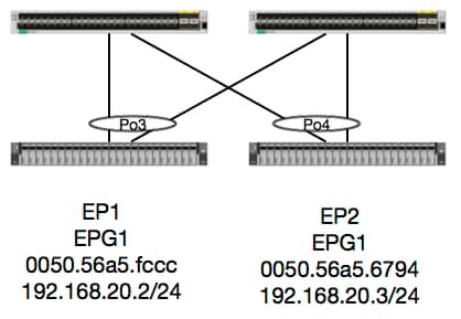 213346-ex-hardware-aci-packet-forwarding-deep-00.png