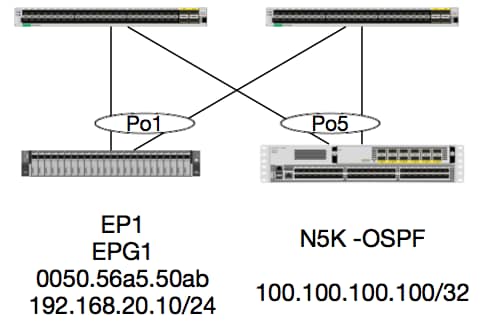 213346-ex-hardware-aci-packet-forwarding-deep-03.png