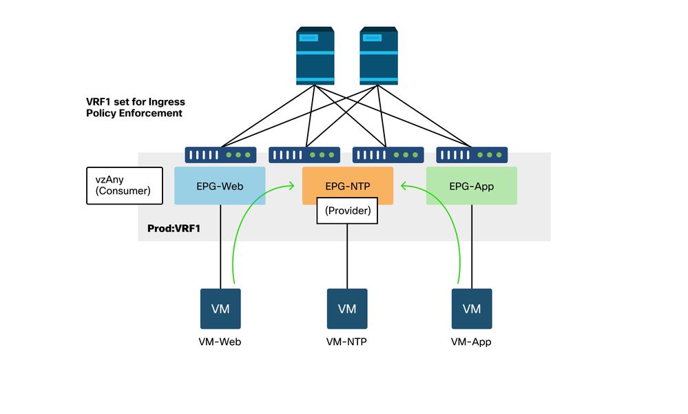 vzany Contact Topology