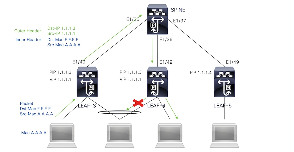 fabric-peering-multi2