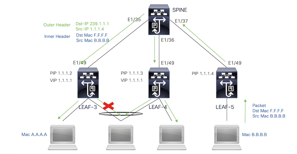 multicast