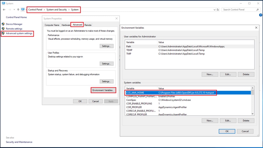 Option 2 - Environment Variables