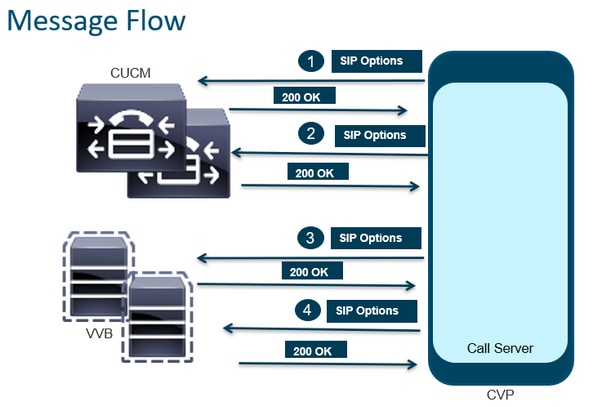 Message Flow – SIP Options