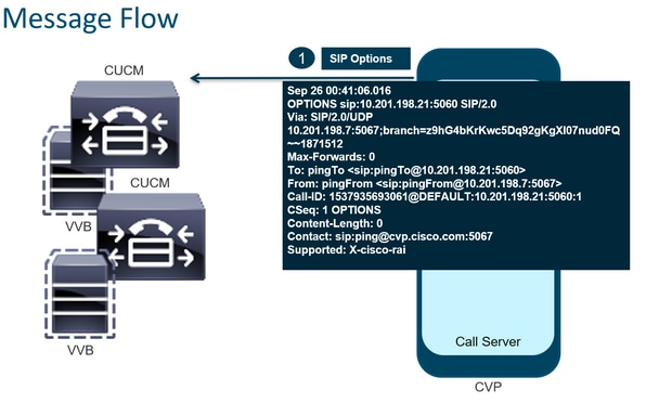 Message Flow – Detailed SIP Options 1A