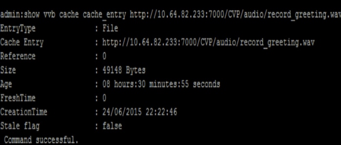 212685-cisco-virtual-voice-browser-cli-commands-02.png