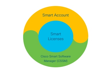 Licence intelligente CUBE