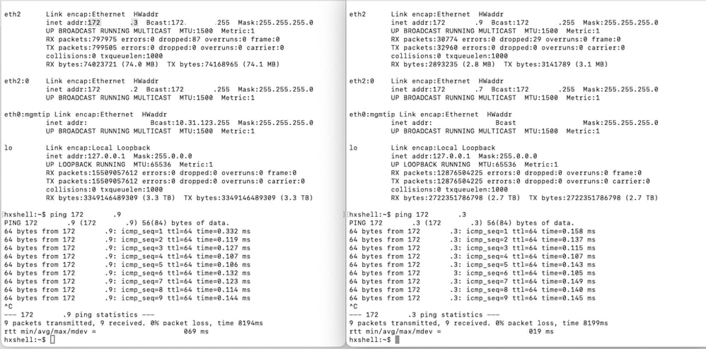 Eth2 Ping 테스트 예