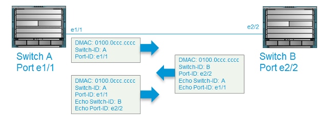 Paquetes de eco forman relaciones bidireccionales