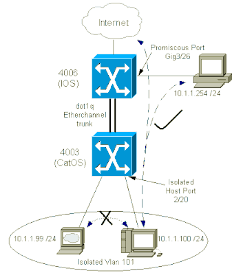 Network Diagram