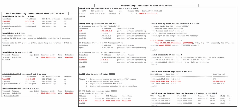 6_Host_Reachability_Verificaiton_UNcolored