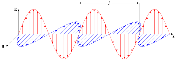 Transverse Polarization of Light