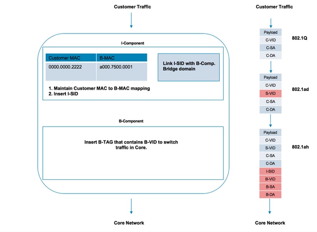 212882-understanding-basic-802-1ah-provider-bac-00.png