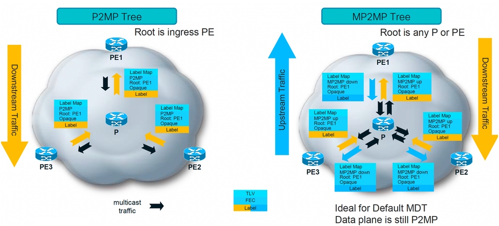 P2MP and MP2MP