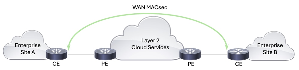 WAN MACsec 솔루션