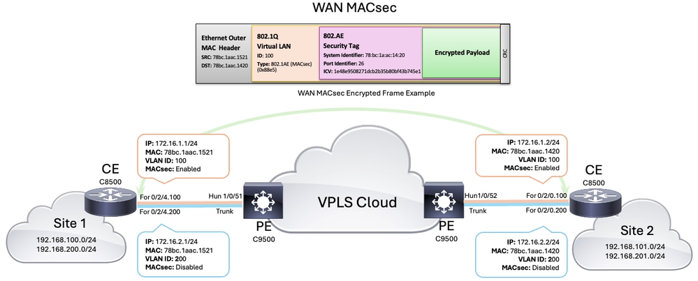 WAN MACsec 토폴로지