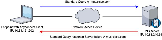 Diagrama de Rede