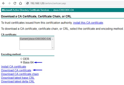 213905-configure-anyconnect-vpn-on-ftd-using-ci-11.png