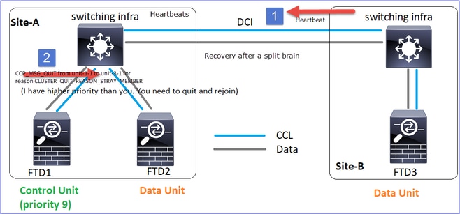 Split Partition Reconnects with a Peer Partition