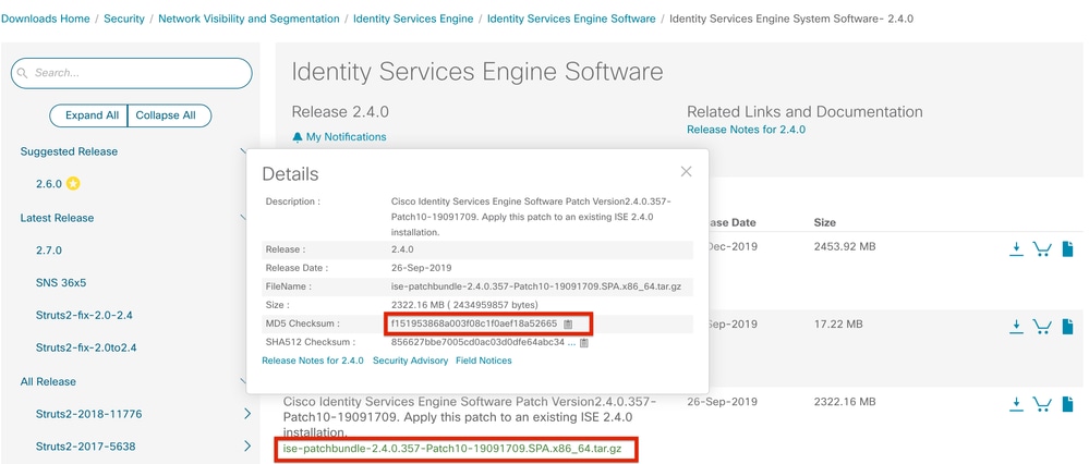 Patch ISE with GUI