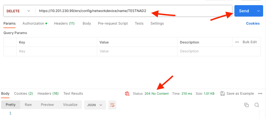 Resultados de API DELETE