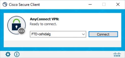 사용자 지정 전 GUI - VPN 로고