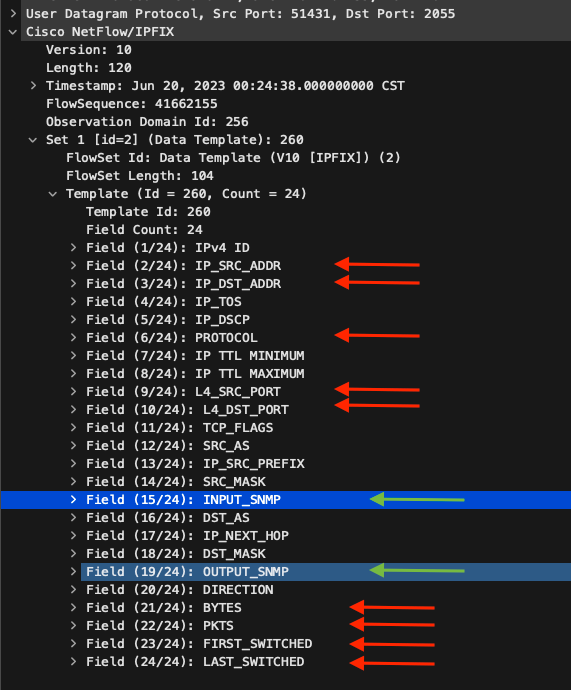 Netflow 템플릿 2