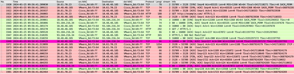 Imagen: datos en caché explícitos de HTTP