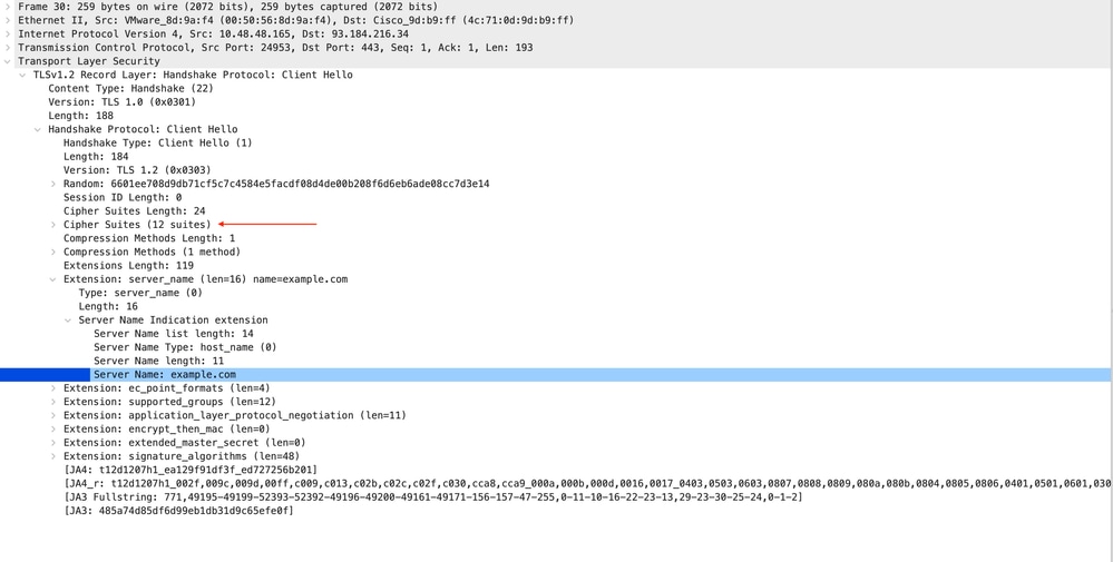 IMAGE - HTTPS Client Hello - SWA إلى خادم ويب - لا مشكلة