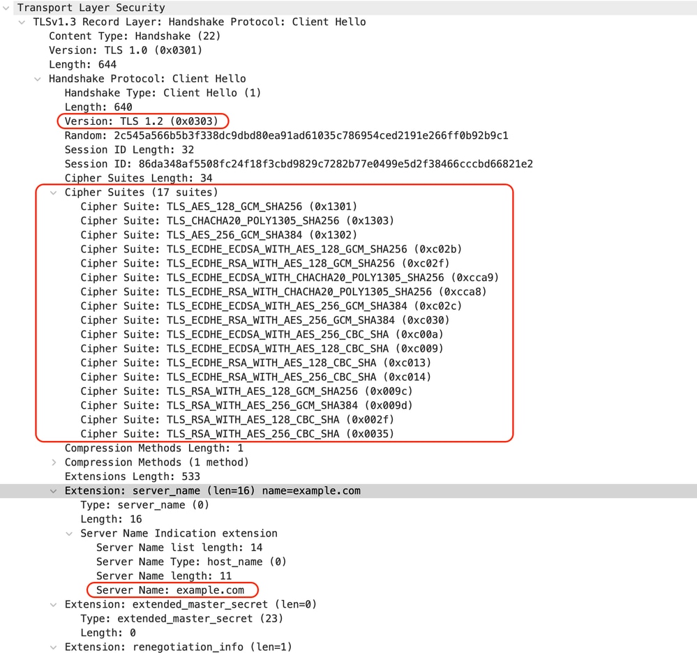 Imagen- Paso a través de HTTPS - Explícito - Cliente a SWA - Saludo del cliente