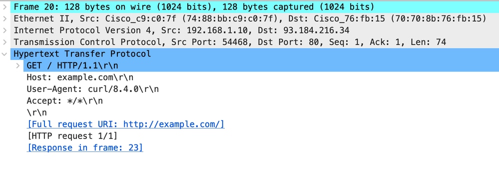 Image- وكيل إلى خادم ويب - HTTP - شفاف - لا توجد مصادقة - HTTP للوكيل