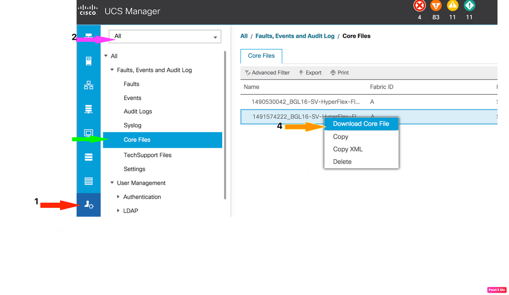 Click Download Core File