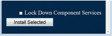 Lock Down Component Servicesチェックボックスにチェックマークを入れます。
            機能を有効にする必要があります。