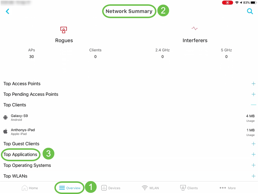 On the mobile app, navigate to Overview > Network Summary > Top Applications.