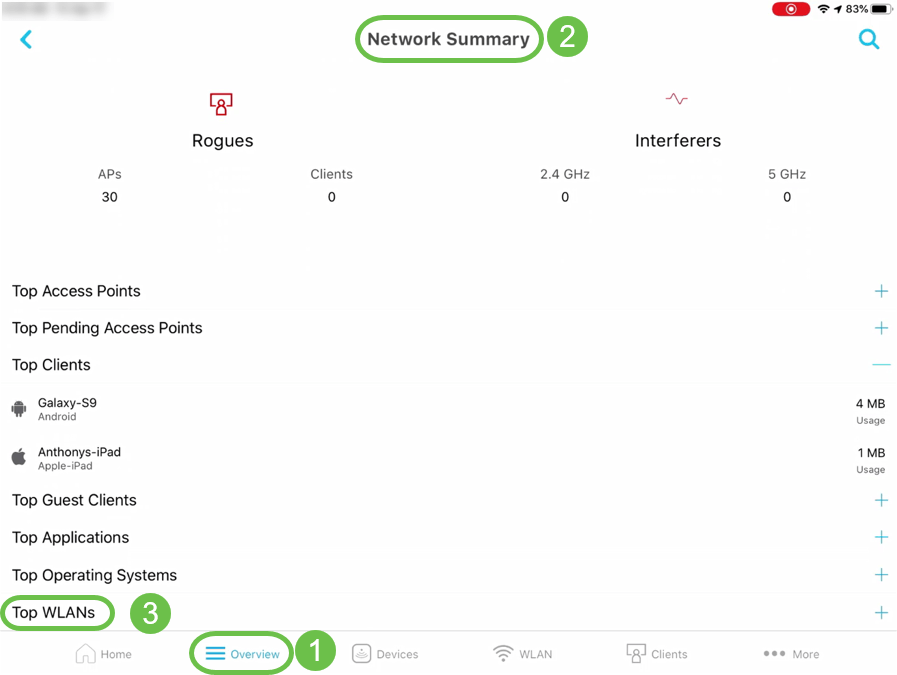 On the mobile app, navigate to Overview > Network Summary > Top WLANs.