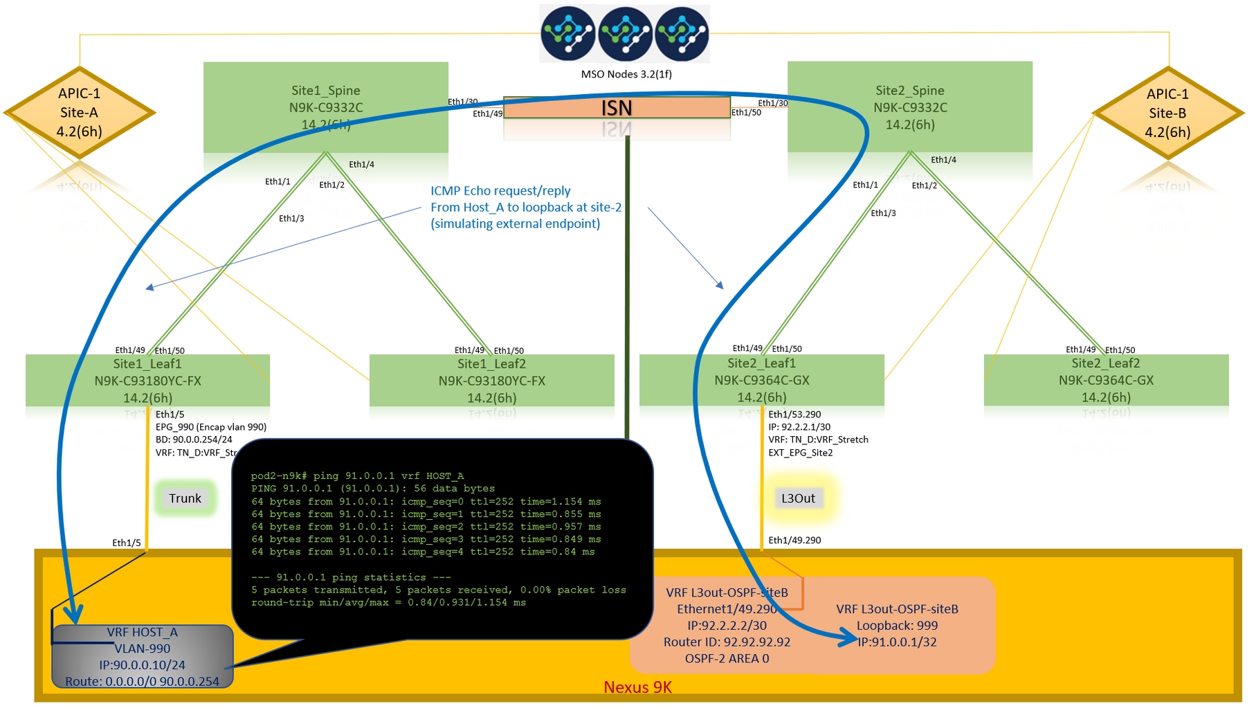 Configure Intersite L3out With ACI Multi-Site Fabrics - Ping External Device Loopback Address