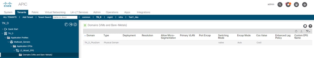 Cisco ACI - attaching physical domain to EPG