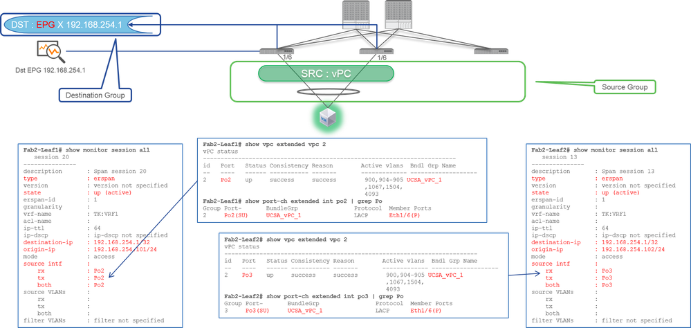 接入SPAN (ERSPAN) -示例4 VPC