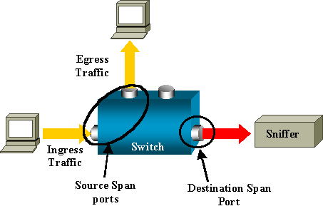 Monitor Port is also a Destination SPAN Port