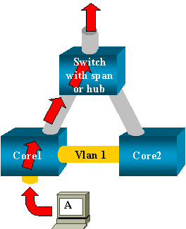 Bridging Loop Example