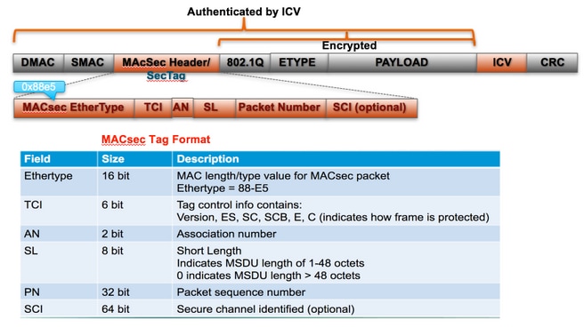 MACsec Packet Format