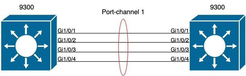 EtherChannel 토폴로지