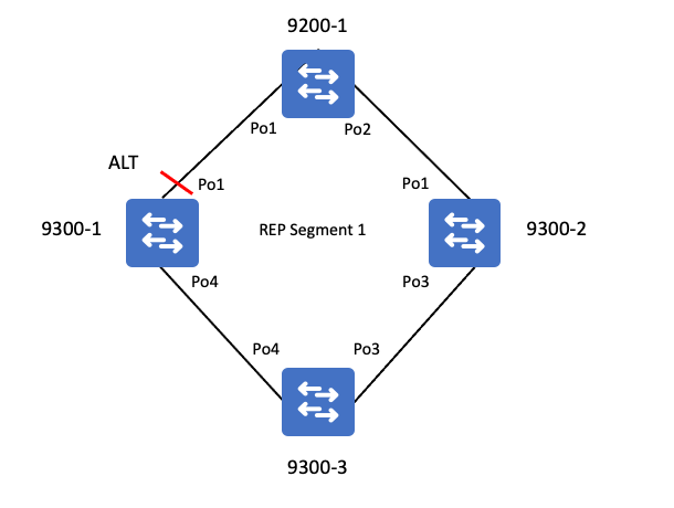 Topología REP 04