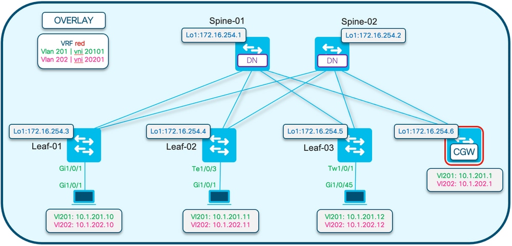 Full EVPN topology with device details