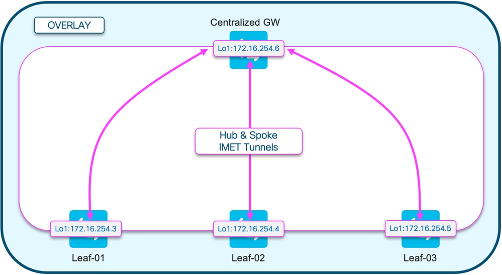 Hub e spoke BGP EVPN RT3 Topo