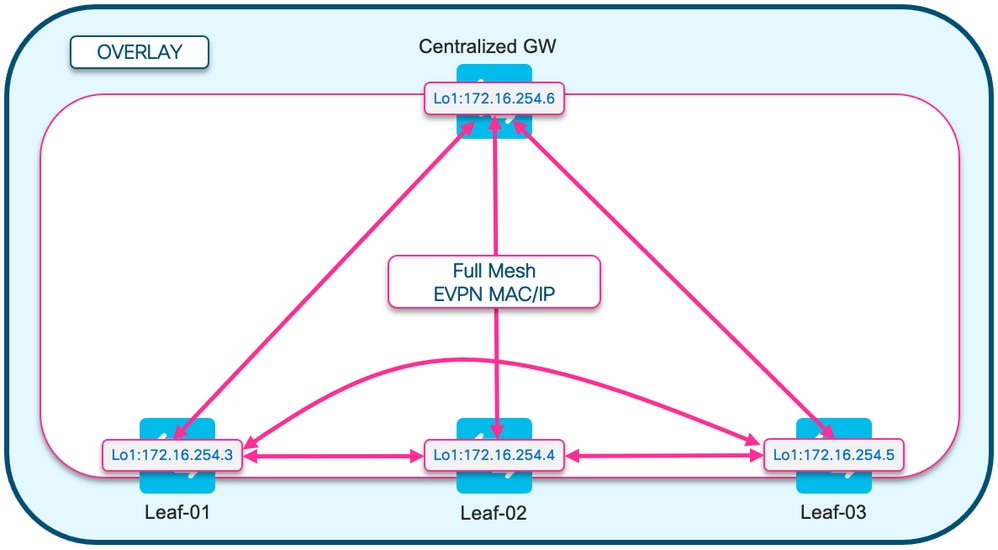 مخطط الشبكة الكاملة BGP EVPN RT2