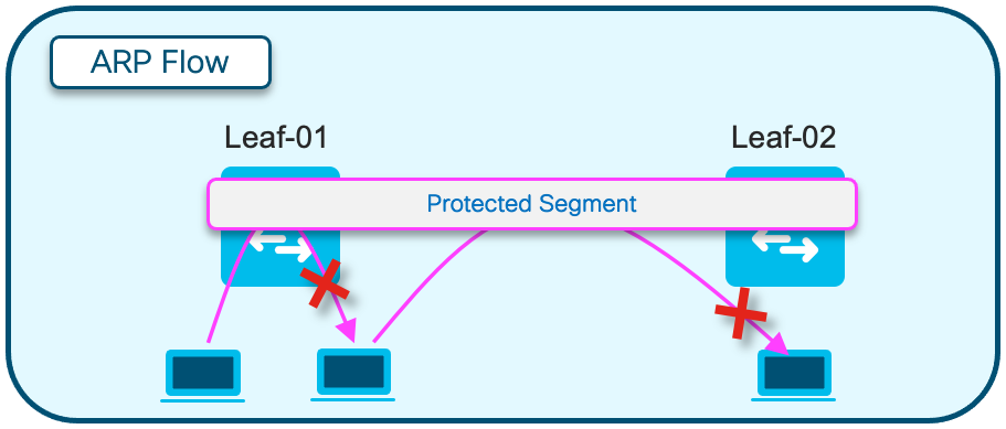 Fluxo ARP de segmento protegido