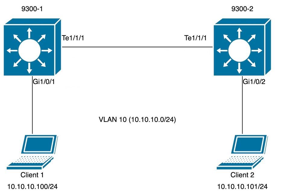 ISF-Topology1