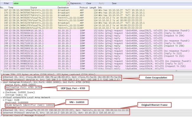 VXLAN PCAP طباعة