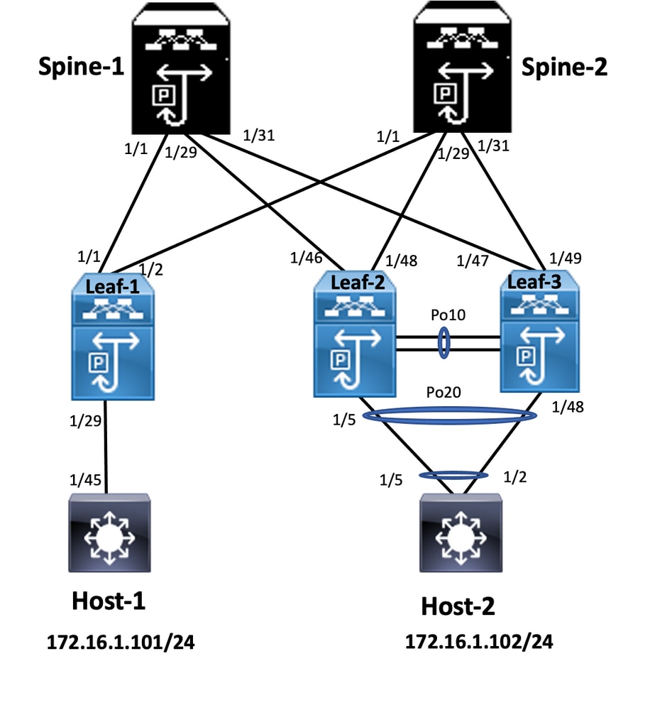 vPC EVPN VXLAN-netwerkdiagram configureren